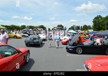 Une Corvette local Car Show avec tous les millésimes de corvettes. Banque D'Images