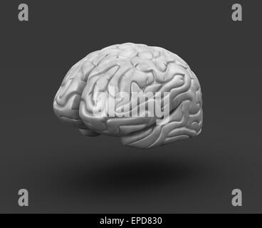 Cerveau humain sur fond noir Banque D'Images