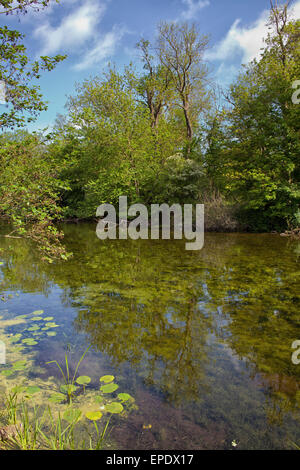 Wanstead Park au printemps Banque D'Images