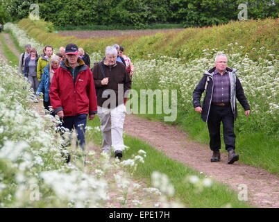 Un groupe de randonneurs participer à une promenade guidée dans le cadre de la campagne du Derbyshire Chesterfield Walking Festival UK peut Banque D'Images