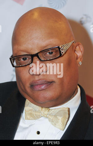 Thurgood Marshall College Fund's 26e Gala annuel de remise des prix à l'hôtel Hilton Washington - Avec des arrivées : Johnson Où : Washington DC, District of Columbia, United States Quand : 12 novembre 2014 Source : WENN.com Banque D'Images