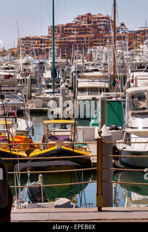 Bateaux dans Marina Cabo, Cabo San Lucas, Baja California, Mexique Banque D'Images