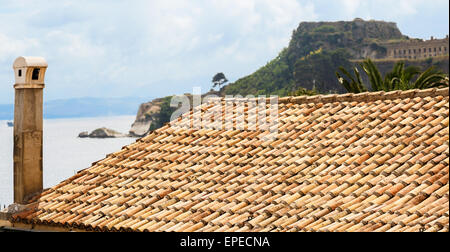 Paysage grec sur l'île de Corfou (Kerkyra), Ionican îles. Banque D'Images