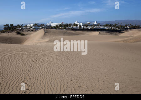 Les dunes, les Dunes de Maspalomas réserve naturelle, l'hôtel RIU derrière, Gran Canaria, Îles Canaries, Espagne Banque D'Images