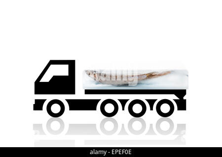 Poissons anchois frais congelé dans un bloc de glace sur camion de refroidissement isolé sur fond blanc. Arrière-plan de transport de fruits de mer frais. Banque D'Images