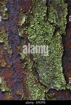 La rouille et le lichen sur un vieux pont de chemin de fer à Keswick en Angleterre Banque D'Images