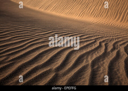 Les structures dans le sable, les dunes de Maspalomas, réserve naturelle, Gran Canaria, Îles Canaries, Espagne Banque D'Images