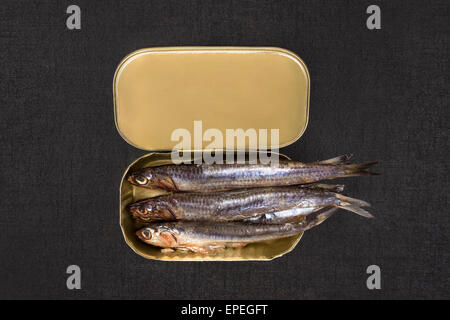 Peut ouvrir les sardines avec isolé sur fond texturé noir, vue du dessus. Manger des fruits de mer culinaires. Banque D'Images