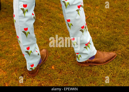 Londres, Royaume-Uni. 18 mai, 2015. Chelsea Flower show press day au Royal Hospital Chelsea Crédit : amer ghazzal/Alamy Live News Banque D'Images