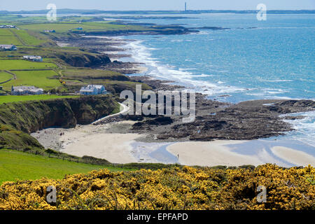 Vue de haut en bas de la plage et de la côte ouest des Rocheuses côte à marée basse en été. Church Bay / Swtan Porth, Isle of Anglesey, au nord du Pays de Galles, Royaume-Uni, Angleterre Banque D'Images