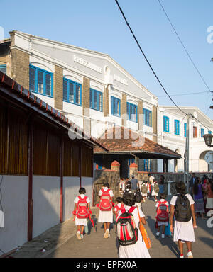 Les filles de l'école en uniforme, marchant dans une rue de la ville historique de Galle, au Sri Lanka, en Asie Banque D'Images