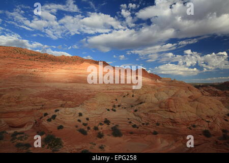 Coyote Buttes North La Vague Banque D'Images