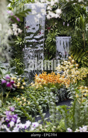 Londres, Royaume-Uni. 18 mai, 2015. ''La beauté cachée de Kranji'' garden par John Tan et Raymond Toh construit par Esmond Paysage et l'Horticulture Pte Ltd Singapour . La Chelsea Flower Show organisé par la Royal Horticultural Society (RHS) dans le parc du Royal Hospital Chelsea tous les mois de mai, est le plus célèbre flower show au Royaume-Uni, peut-être dans le monde. Il attire des exposants et des visiteurs de partout dans le monde, Londres, Royaume-Uni. Credit : Veronika Lukasova/ZUMA/Alamy Fil Live News Banque D'Images