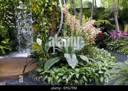 Londres, Royaume-Uni. 18 mai, 2015. ''La beauté cachée de Kranji'' garden par John Tan et Raymond Toh construit par Esmond Paysage et l'Horticulture Pte Ltd Singapour . La Chelsea Flower Show organisé par la Royal Horticultural Society (RHS) dans le parc du Royal Hospital Chelsea tous les mois de mai, est le plus célèbre flower show au Royaume-Uni, peut-être dans le monde. Il attire des exposants et des visiteurs de partout dans le monde, Londres, Royaume-Uni. Credit : Veronika Lukasova/ZUMA/Alamy Fil Live News Banque D'Images