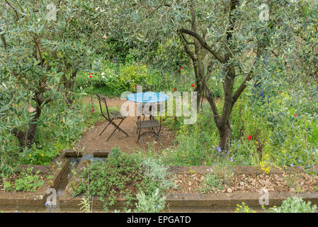 2015 RHS Chelsea Flower Show Appuyez sur Jour, Royal Hospital Chelsea, London, UK. 18 mai, 2015. Un jardin du parfumeur à Grasse, conçu par James Basson, parrainé par l'Occitane UK. La plantation de naturaliste, représentant du paysage entourant Grasse et l'abandon de l'parfum traditionnel des plantations. Credit : Malcolm Park editorial/Alamy Live News Banque D'Images