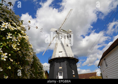 Union européenne Smock Mill, Moulin, Cranbrook, Kent, Angleterre, Grande-Bretagne, Royaume-Uni Banque D'Images