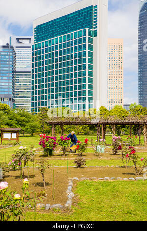 Hama Rikyu gardens avec des gratte-ciel en arrière-plan Banque D'Images