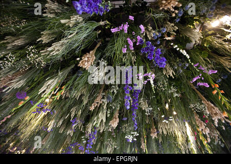 Londres, Royaume-Uni. 18 mai, 2015. L'envers affichage floral.Le Chelsea Flower Show organisé par la Royal Horticultural Society (RHS) dans le parc du Royal Hospital Chelsea tous les mois de mai, est le plus célèbre flower show au Royaume-Uni, peut-être dans le monde. Il attire des exposants et des visiteurs de partout dans le monde, Londres, Royaume-Uni. Credit : Veronika Lukasova/ZUMA/Alamy Fil Live News Banque D'Images