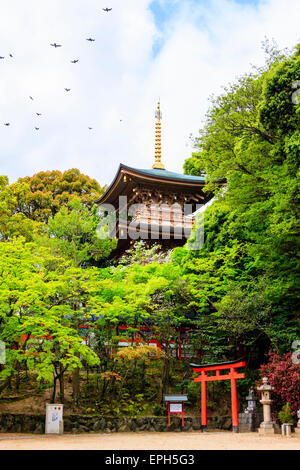 La pagode vermilion, à moitié cachée par des arbres, avec une porte torii devant, au printemps, au temple de Suma-Dera à Suma au Japon. Banque D'Images