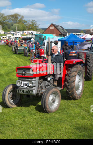 Royal Welsh Festival du printemps, Builth Wells un Massey Ferguson 1969 tracteur modèle135 dans le domaine du tracteur afficher Mai 2015 Banque D'Images