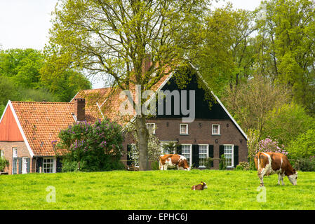 Ferme traditionnelle dans l'Achterhoek Holland Banque D'Images