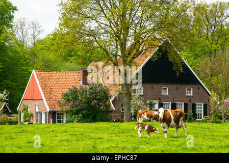 Ferme traditionnelle dans l'Achterhoek Holland Banque D'Images