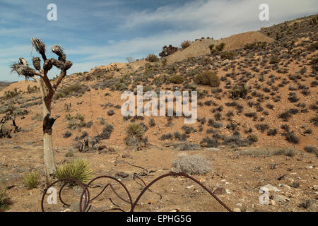 Une photographie de la mine perdue de l'Cheval sentier de randonnée du même nom dans la région de Joshua Tree National Park, en Californie. Banque D'Images