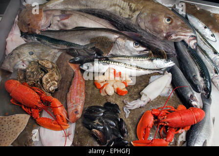 Une sélection de fruits de mer sur une dalle de poissonniers à St.Ives,Cornwall,UK,y compris les poissons et fruits de mer.Un homard huîtres aliments Aliments UK Banque D'Images