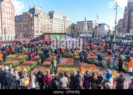 Journée nationale d'Amsterdam Tulip 10,000 200,000 visiteurs choisir tulipes pour célébrer le début de la saison officielle de tulipe Banque D'Images