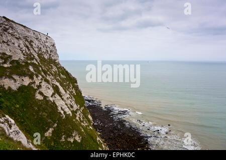 White chalk Cliffs of Dover Langdon bay cliffs Banque D'Images