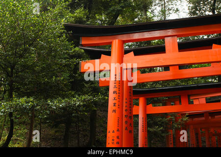 Torii gates à Fushimi Inari-Taish culte à Kyoto au Japon Banque D'Images