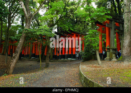 Torii gates à Fushimi Inari-Taish culte à Kyoto au Japon Banque D'Images