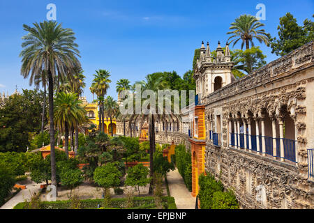 Alcazar de Séville Espagne Jardins Banque D'Images