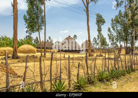 Maisons de village traditionnel près de Addis Ababa, Ethiopie, Afrique du Sud Banque D'Images