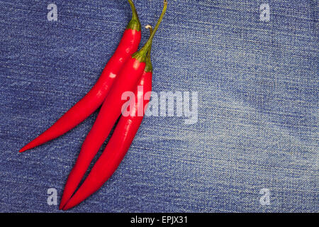 Chili Pepper sur fond de jeans Banque D'Images