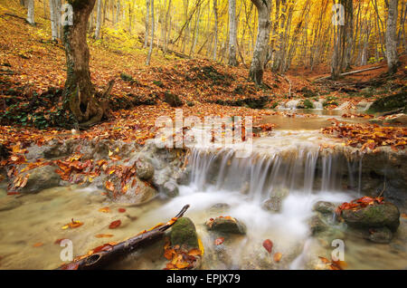 Paysage d'automne. Composition de la nature. Rivière en canyon. Banque D'Images