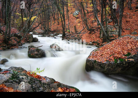 Paysage d'automne. Composition de la nature. Rivière en canyon. Banque D'Images