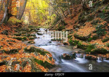 Paysage d'automne. Composition de la nature. Rivière en canyon. Banque D'Images