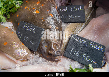 Une sélection de poissons frais, y compris la morue, la plie et Pollack dans un compteur de poissonniers UK Banque D'Images