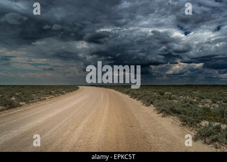 Les nuages de tempête et de la route dans le parc national d'Etosha, Namibie, Afrique Banque D'Images