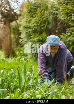 Le désherbage femme dans le jardin et elle utiliser des gants de protection Banque D'Images