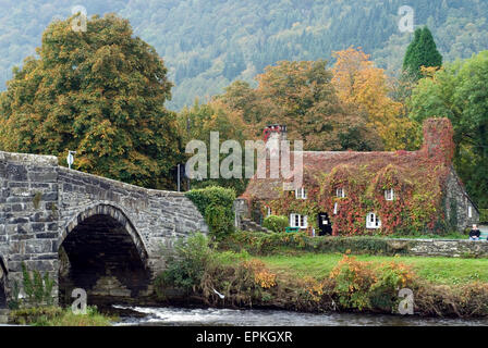 Pont de pierre ancienne Llanrwst et salons de thé et de la rivière Conwy Parc National de Snowdonia au nord du Pays de Galles Royaume-uni Grande-Bretagne Europe Banque D'Images