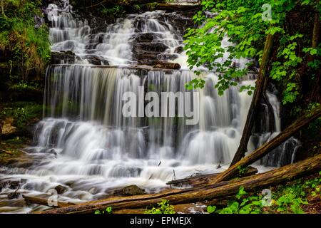 Wagner Falls Scenic Site dans la Péninsule Supérieure du Michigan. Banque D'Images