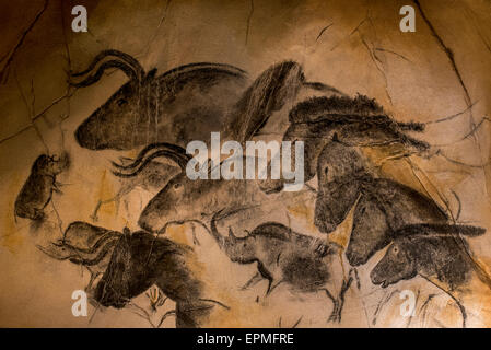 Réplique de peintures rupestres préhistoriques de la grotte Chauvet, Ardèche, France, montrant rhinocéros laineux, d'aurochs et de chevaux sauvages Banque D'Images