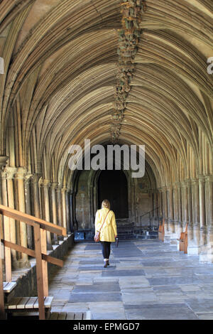 Les cloîtres à la cathédrale de Norwich, lady Yellow top Walking, Norwich, Norfolk, Royaume-Uni Banque D'Images
