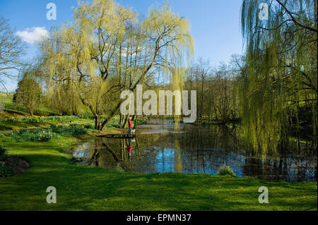 Une femme et un petit chien debout sur une jetée par un lac. Banque D'Images