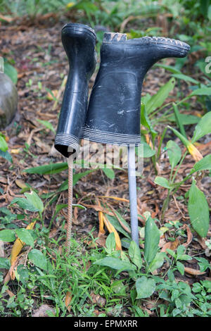 Boots galosh est séché sur le jardin Banque D'Images