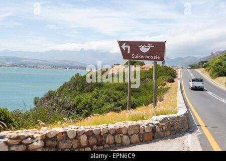 Signe de l'observation des baleines sur R44, Gordon's Bay, District d'Helderberg, péninsule du Cap, Province de Western Cape, Afrique du Sud Banque D'Images