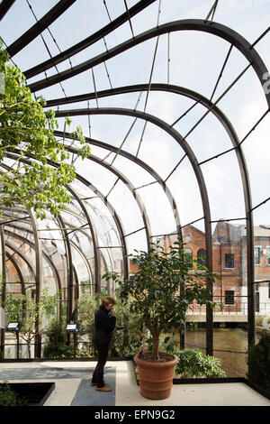 Vue de l'intérieur de maison de verre. La Distillerie de Bombay Sapphire, Laverstoke, Royaume-Uni. Architecte : Heatherwick Studio, 2014. Banque D'Images