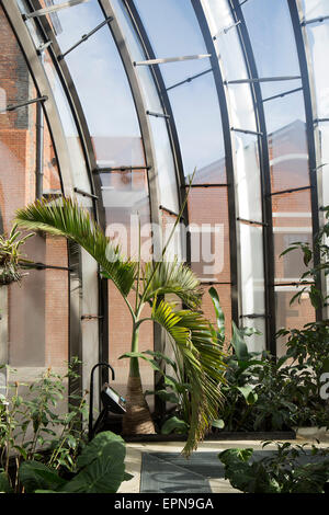 Vue intérieure d'une maison de verre. La Distillerie de Bombay Sapphire, Laverstoke, Royaume-Uni. Architecte : Heatherwick Studio, 2014. Banque D'Images